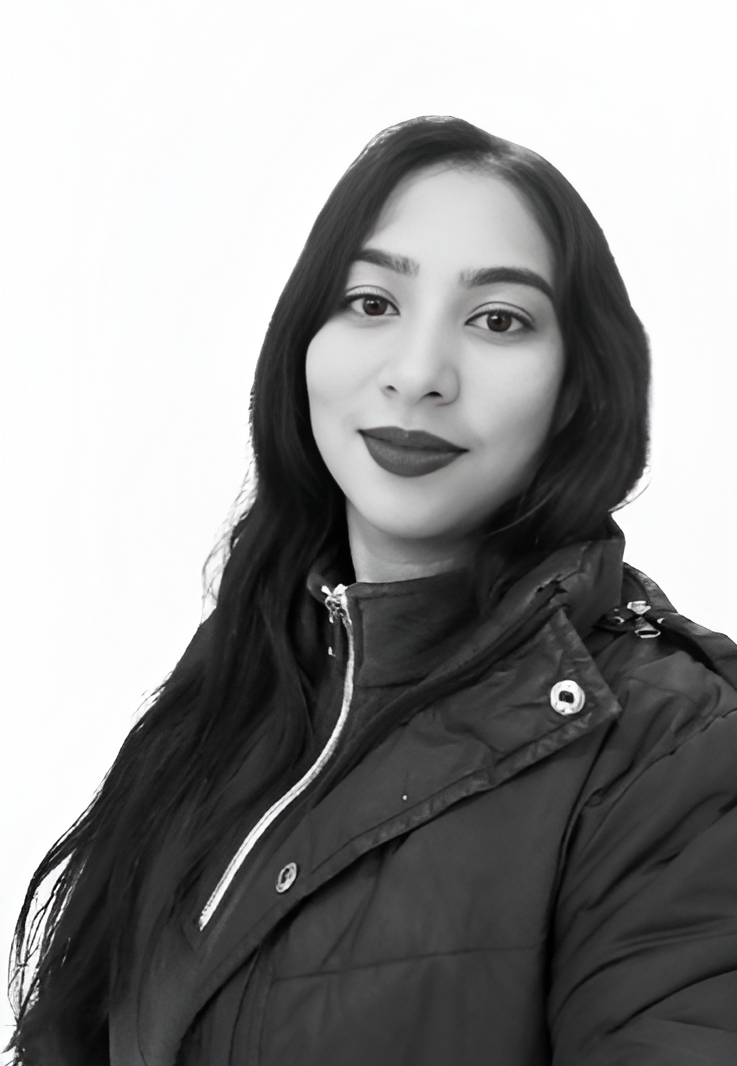 animation Specialist